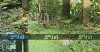 নদীর শহর বরিশাল এখন দখল আর দূষণের থাবায় বিলীন হওয়ার পথে